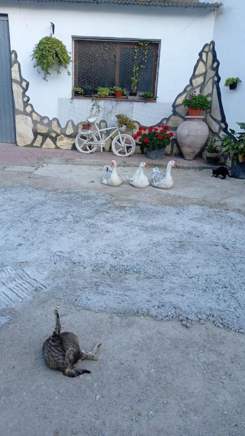 Villa Cueva de la abuela Los Carriones Exterior foto